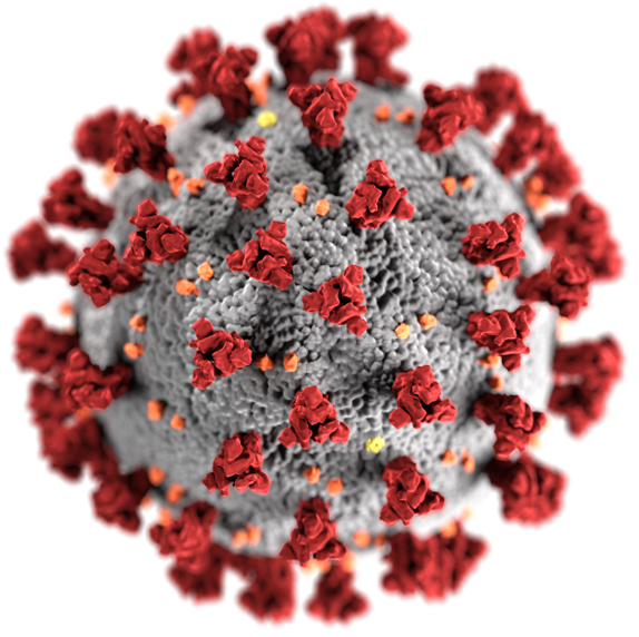 Highly sensitive COVID-19 sensor for high throughput antibody screening